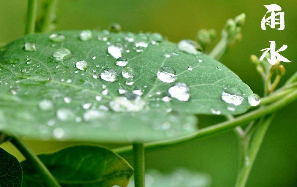 雨水潤萬物，兼顧沙與泥！